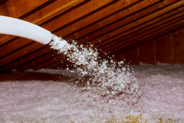 Best Blown-in Insulation in Holt, MI