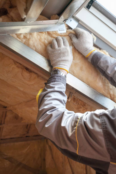 Types of Insulation We Offer in Holt, MI