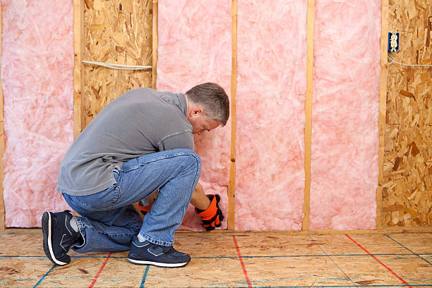 Types of Insulation We Offer in Holt, MI