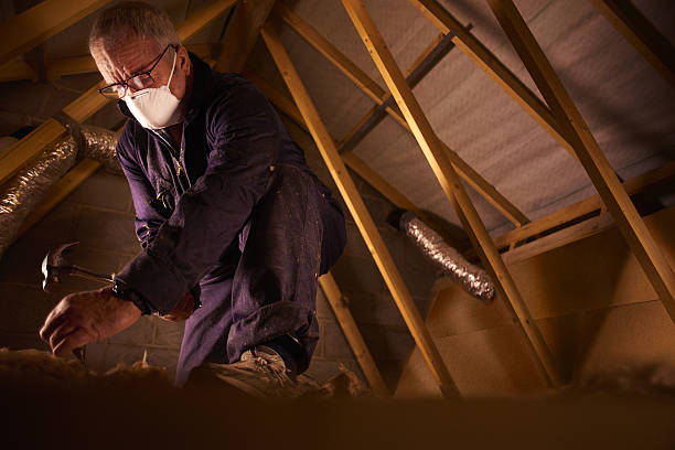 Best Commercial Insulation in Holt, MI